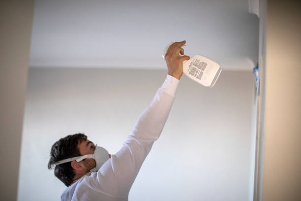 Best Certified Mold Removal  in Guilford Center, CT